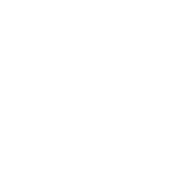 logo de website