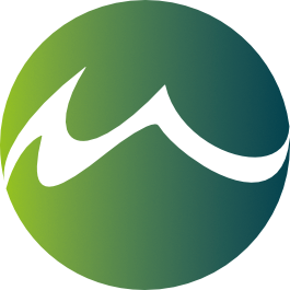 logo website